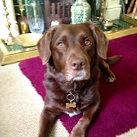 Profile Image for Jess.