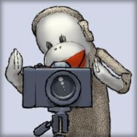 Profile Image for David Stong.
