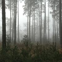 Profile Image for Leah.