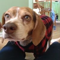 Profile Image for Wrigley14.