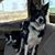 Profile Image for Beth Blankenship.