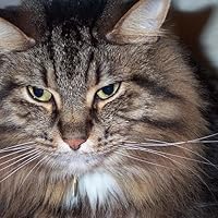 Profile Image for Julia.