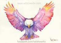 Profile Image for Cindy Elsharouni.