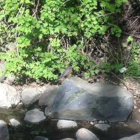 Profile Image for Mary.