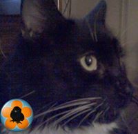 Profile Image for Lenora Arthur.