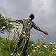 Eshwar
