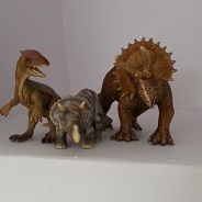 Profile Image for Harriet.