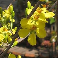 Profile Image for Van.