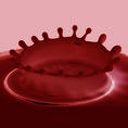 Profile Image for Claudia.