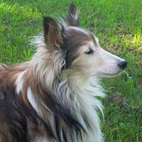 Profile Image for Maureen Conboy.