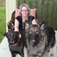 Profile Image for Lyda Phillips.