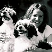 Profile Image for Tracy Aiello.