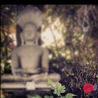 Profile Image for Junnaid Javed.