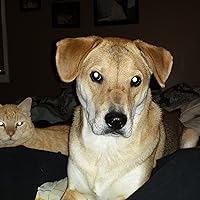 Profile Image for Hollygirl1030.