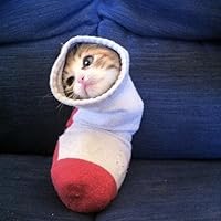 Profile Image for Serena.