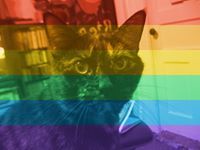 Profile Image for Courtney Miller.