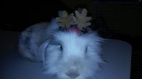 Profile Image for Debra Pratt.