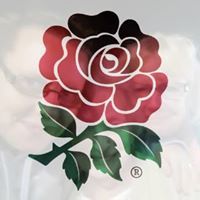 Profile Image for Donna Goverd.