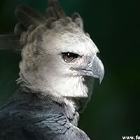 Profile Image for Jonathan.