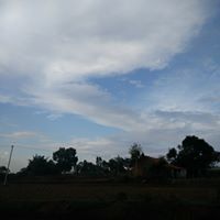 Profile Image for Prahlad Saldanha.