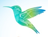 Profile Image for Dianne.