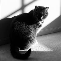 Profile Image for Greg Doolan.