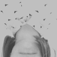 洋書 The Handbook of Contemporary Animism The Handbook of Contemporary Animism (Acumen Handbooks