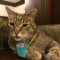 Profile Image for Beth Cook.