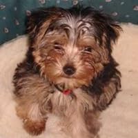 Profile Image for Cheryl Moody.