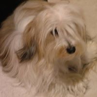 Profile Image for Joyce Equi.