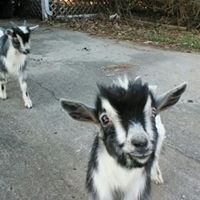 Profile Image for Pat Wilkerson.