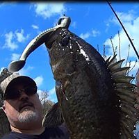 Profile Image for Dave V.