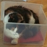 Profile Image for Mel.