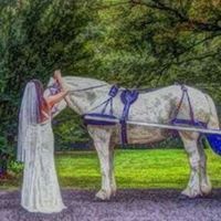 Mark Of The Fool 9: A Progression Fantasy Epic (English Edition) [Kindle Edition] By