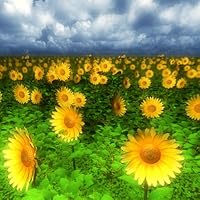 Profile Image for JanaT.