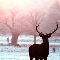 Profile Image for Priya.