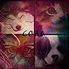Cora