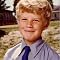 Brad Fuller