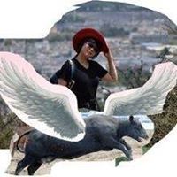 Profile Image for Lindsey Peng.