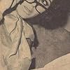 Belques Alhashmi