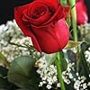 Rosemarie