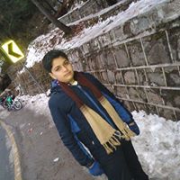 Profile Image for Talhazeb Khan.