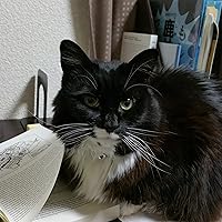 Profile Image for Kara.