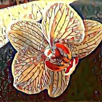 Profile Image for Gretchen Stoeltje.