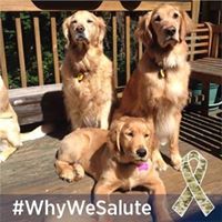 Profile Image for Deb.