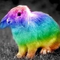 Profile Image for Milo.