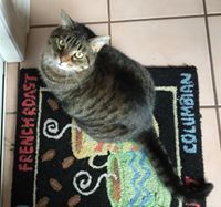 Profile Image for Celeste Hansel.