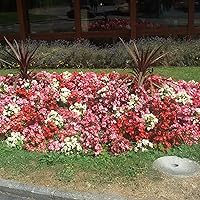 Profile Image for Miriam Löllgen.