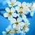 Profile Image for Sharon Johnson.