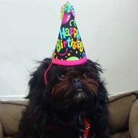 Profile Image for C.